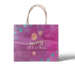 ΣΑΚΟΥΛΑ ΜΕ ΣΤΡΙΦΤΟ ΧΕΡΟΥΛΙ ΧΑΡΤΙΝΗ ΧΡΙΣΤΟΥΓΕΝΝΙΑΤΙΚΗ MERRY CHRISTMAS 2 24x32x11 XENOS