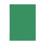 ΕΞΩΦΥΛΛΑ ΒΙΒΛΙΟΔΕΣΙΑΣ PVC 100ΤΜΧ ΑΔΙΑΦΑΝΑ A4 ΠΡΑΣΙΝΟ MEDIUM DARK GREEN 180MIC CAPA CASE