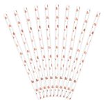 ΧΑΡΤΙΝΑ ΚΑΛΑΜΑΚΙΑ ΛΕΥΚΑ ΜΕ ROSE GOLD ΜΕΤΑΛΛΙΚΕΣ ΚΑΡΔΙΕΣ 19.5cm (10 ΤΕΜ) PARTYDECO
